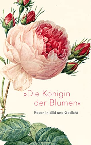 »Die Königin der Blumen«: Rosen in Bild und Gedicht