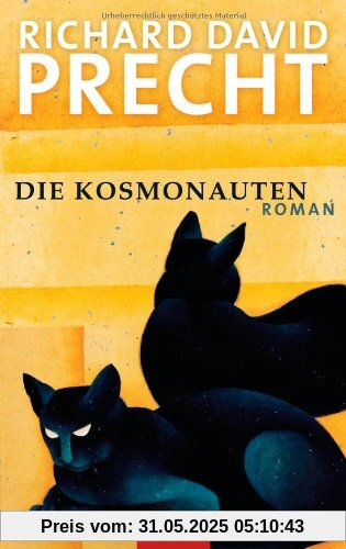 Die Kosmonauten: Roman