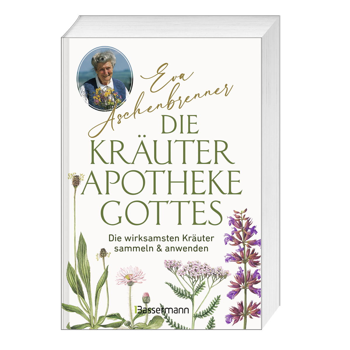 Die Kräuterapotheke Gottes Die Kräuterapotheke Gottes von Bassermann, Edition
