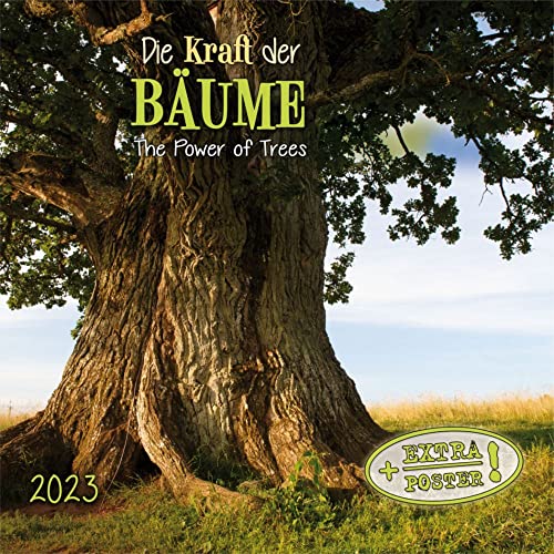 Die Kraft der Bäume 2023: Kalender 2023 (Artwork Edition) von Tushita