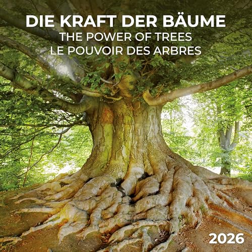 Die Kraft der Bäume 2026: Kalender 2026 (Artwork Edition) von Tushita PaperArt