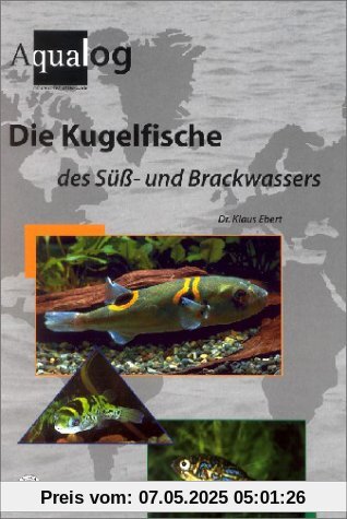 Die Kugelfische des Süß- und Brackwassers