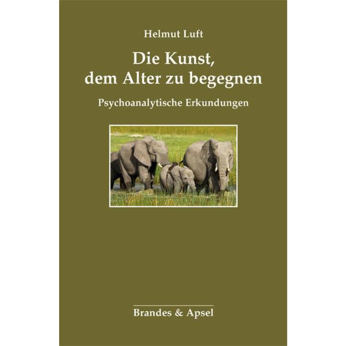 Die Kunst, dem Alter zu begegnen von Brandes + Apsel Verlag Gm