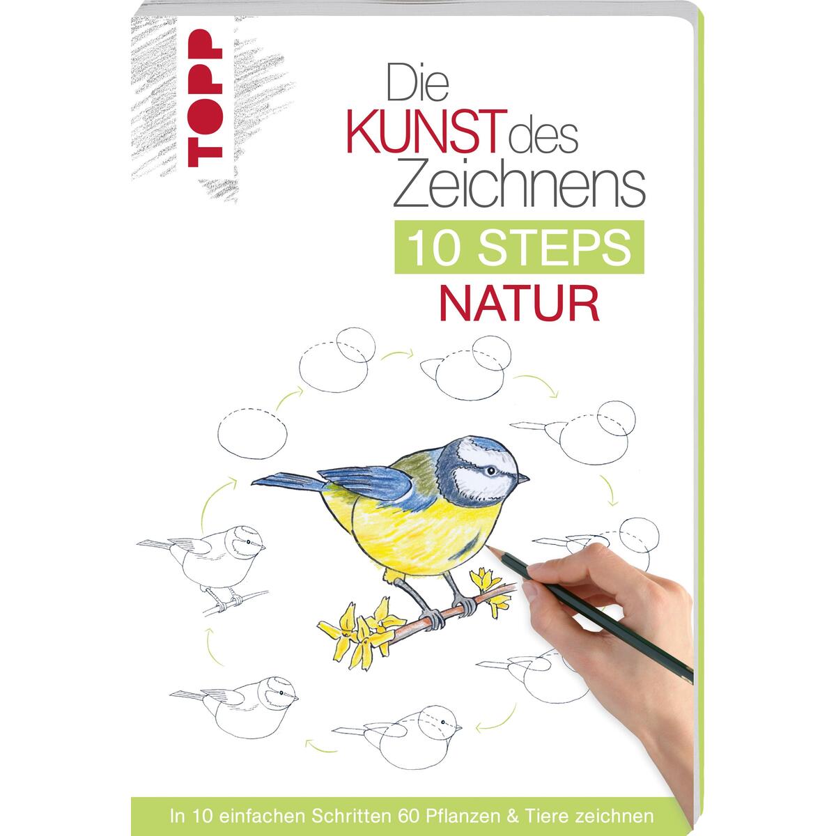 Die Kunst des Zeichnens 10 Steps - Natur Die Kunst des Zeichnens 10 Steps - Natur von Frech Verlag GmbH