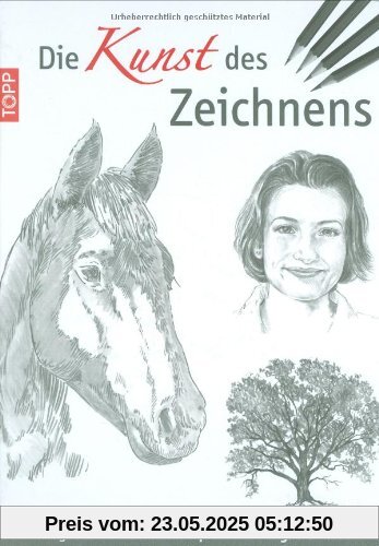 Die Kunst des Zeichnens: Die große Zeichenschule: praxisorientiert und gut erklärt