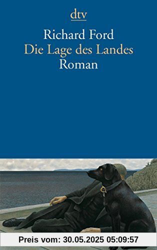 Die Lage des Landes: Roman (dtv Literatur)