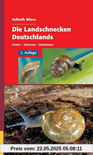 Die Landschnecken Deutschlands: Finden - Erkennen - Bestimmen Die Landschnecken Deutschlands: Finden - Erkennen - Bestimmen