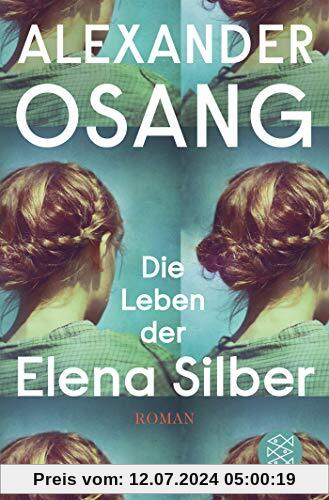 Die Leben der Elena Silber: Roman