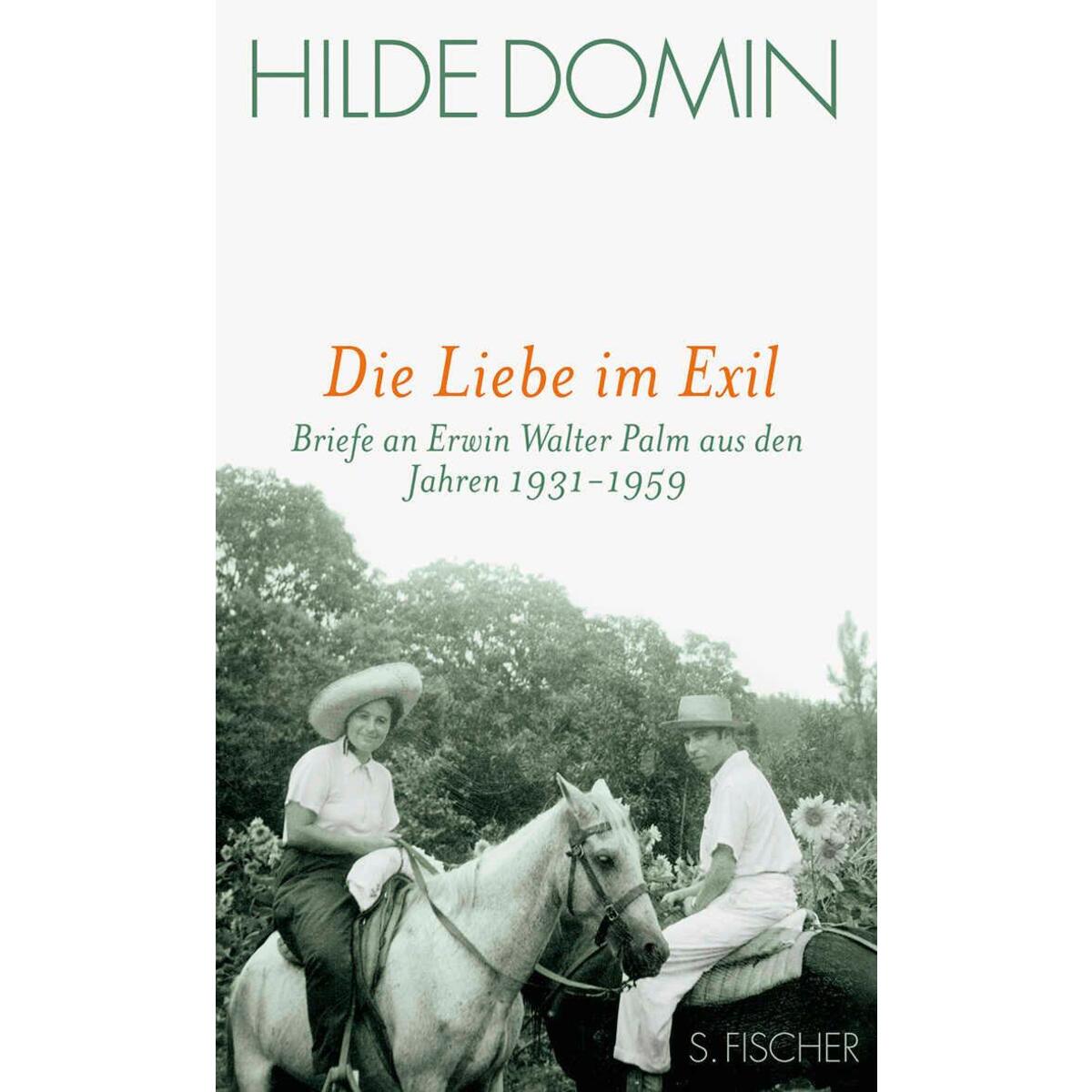 Die Liebe im Exil von FISCHER, S.
