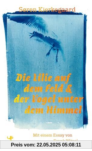 Die Lilie auf dem Feld und der Vogel unter dem Himmel: Drei Reden, Gott betreffend (Theologische Brocken)
