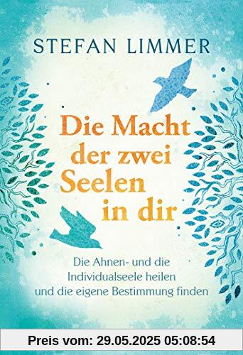 Die Macht der zwei Seelen in dir: Die Ahnen- und die Individualseele heilen und die eigene Bestimmung finden