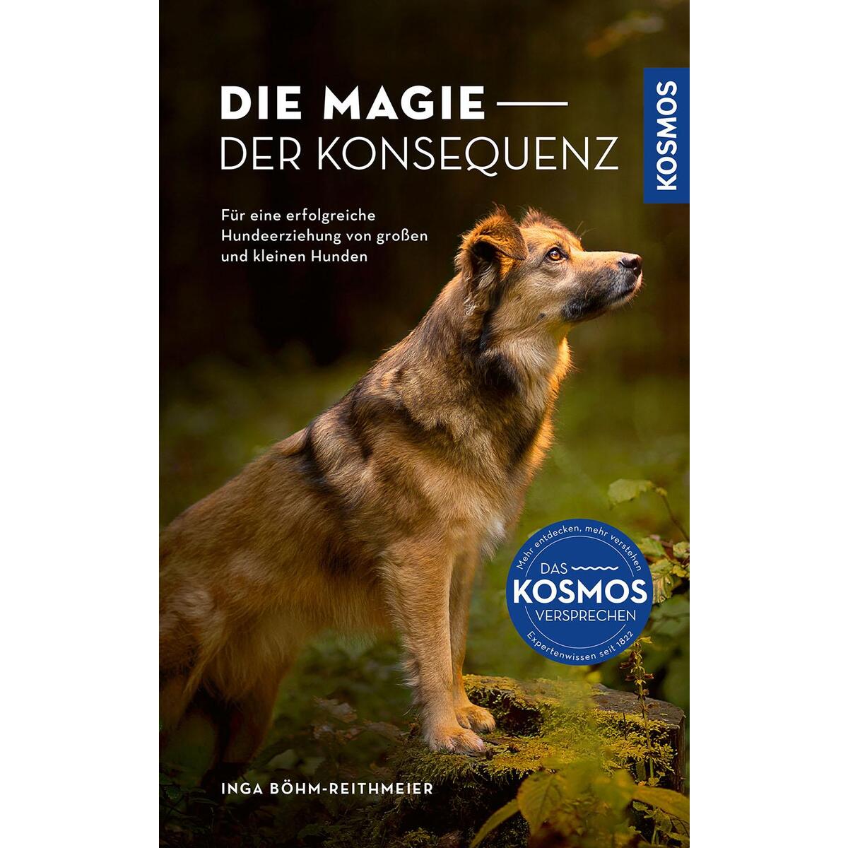 Die Magie der Konsequenz Die Magie der Konsequenz von Franckh-Kosmos