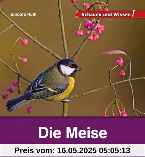 Die Meise: Schauen und Wissen!
