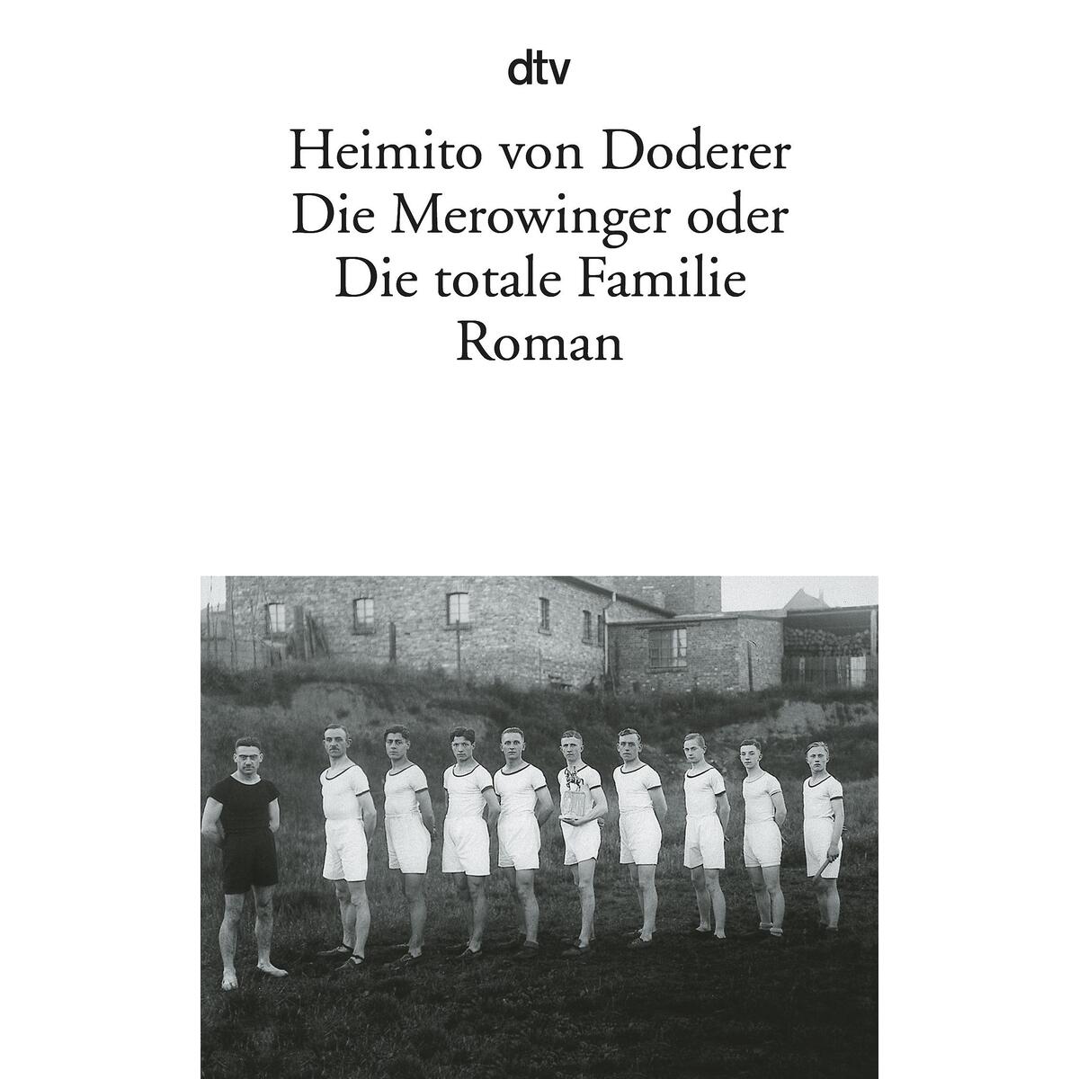 Die Merowinger oder Die totale Familie von dtv Verlagsgesellschaft