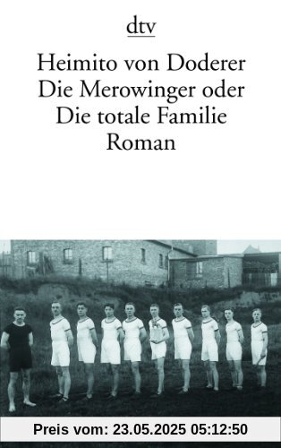 Die Merowinger oder Die totale Familie: Roman