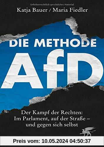 Die Methode AfD: Der Kampf der Rechten: Im Parlament, auf der Straße - und gegen sich selbst