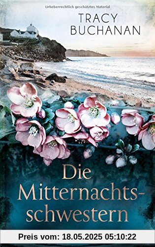 Die Mitternachtsschwestern: Roman