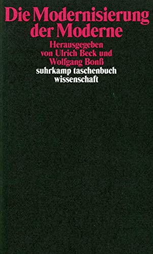 Die Modernisierung der Moderne (suhrkamp taschenbuch wissenschaft)