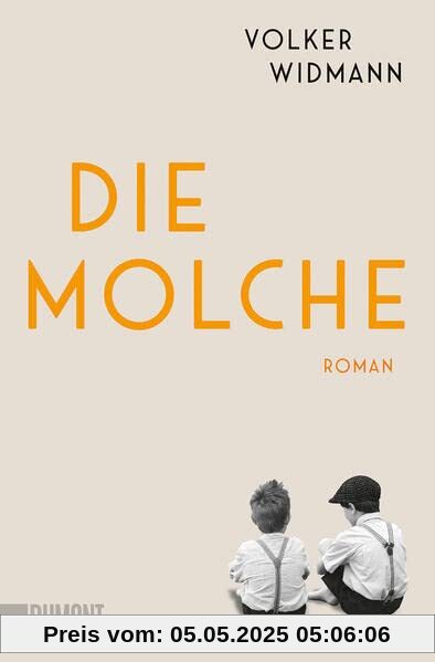 Die Molche: Roman