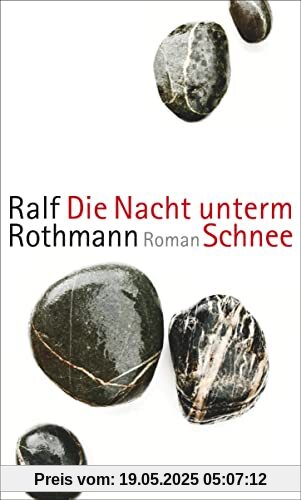 Die Nacht unterm Schnee: Roman