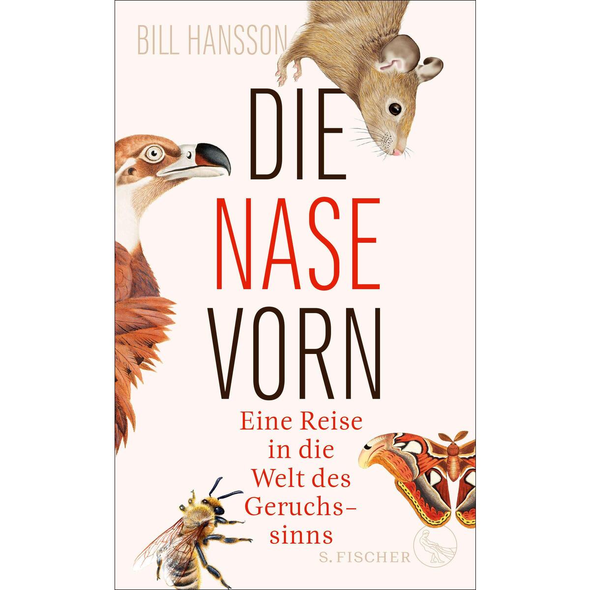 Die Nase vorn von FISCHER, S.