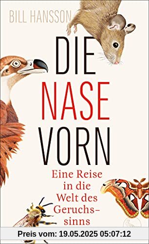 Die Nase vorn: Eine Reise in die Welt des Geruchssinns
