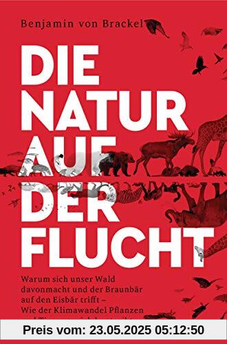 Die Natur auf der Flucht: Warum sich unser Wald davonmacht und der Braunbär auf den Eisbär trifft – Wie der Klimawandel Pflanzen und Tiere vor sich hertreibt Die Natur auf der Flucht: Warum sich unser Wald davonmacht und der Braunbär auf den Eisbär trifft – Wie der Klimawandel Pflanzen und Tiere vor sich hertreibt