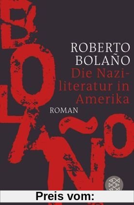 Die Naziliteratur in Amerika: Roman