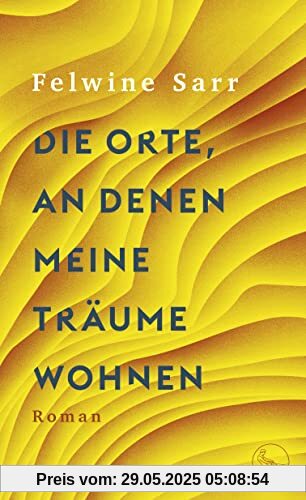 Die Orte, an denen meine Träume wohnen: Roman