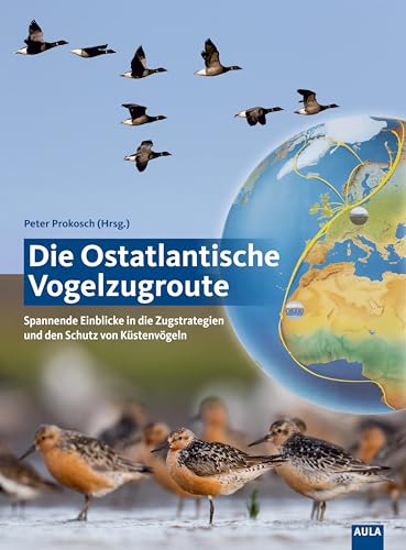 Die Ostatlantische Vogelzugroute: Spannende Einblicke in die Zugstrategien und den Schutz von Küstenvögeln von AULA-Verlag