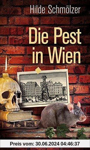Die Pest in Wien (HAYMON TASCHENBUCH)