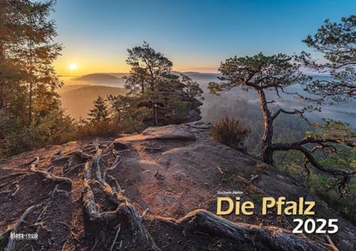 Die Pfalz 2025 Bildkalender A3 Spiralbindung von klaes-regio Fotoverlag