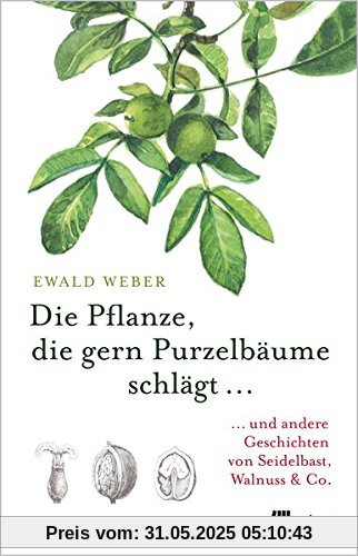 Die Pflanze, die gern Purzelbäume schlägt …: …und andere Geschichten von Seidelbast, Walnuss & Co. Die Pflanze, die gern Purzelbäume schlägt …: …und andere Geschichten von Seidelbast, Walnuss & Co.