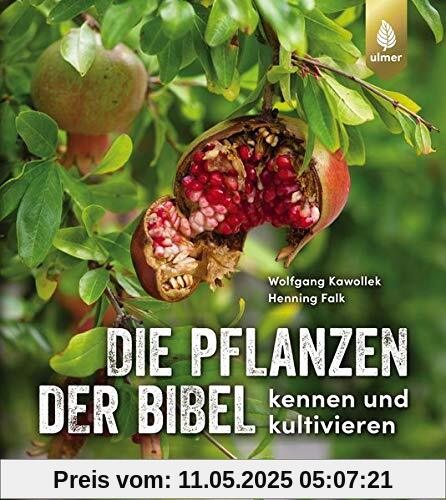 Die Pflanzen der Bibel: kennen und kultivieren