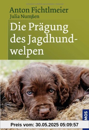 Die Prägung des Jagdhundwelpen