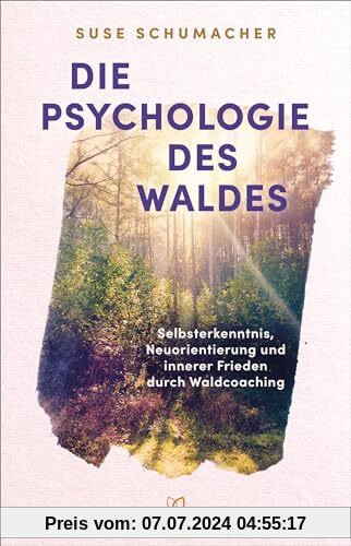 Die Psychologie des Waldes: Selbsterkenntnis, Neuausrichtung und innerer Frieden durch Waldcoaching