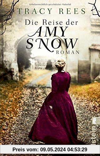 Die Reise der Amy Snow: Roman