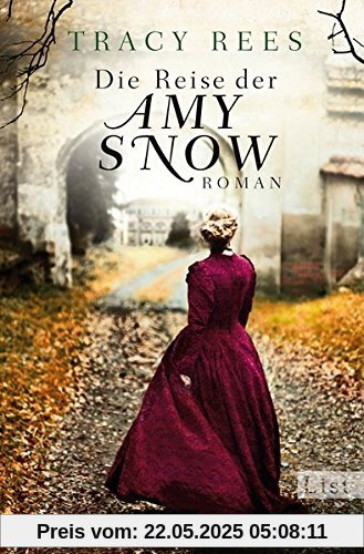 Die Reise der Amy Snow: Roman