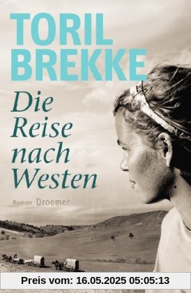Die Reise nach Westen: Roman