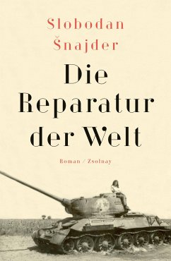 Die Reparatur der Welt von Paul Zsolnay Verlag