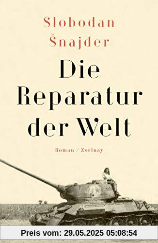 Die Reparatur der Welt: Roman