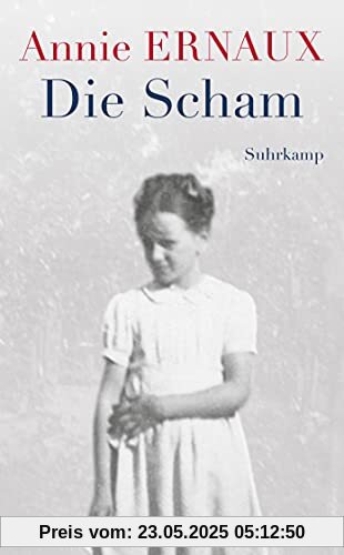 Die Scham (suhrkamp taschenbuch)