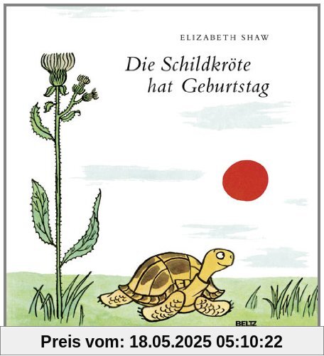 Die Schildkröte hat Geburtstag