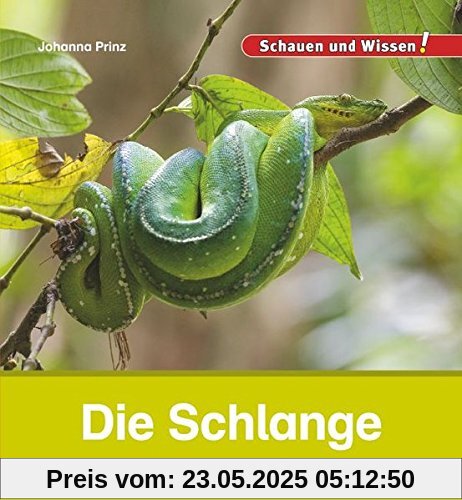 Die Schlange: Schauen und Wissen!