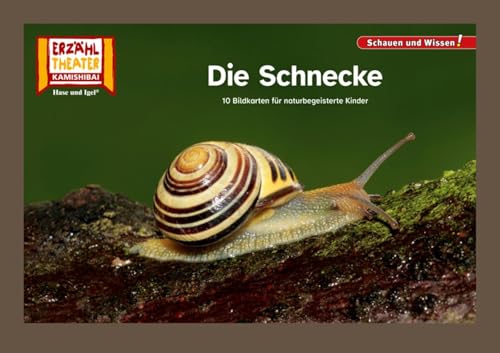 Die Schnecke / Kamishibai Bildkarten: 12 Fotobildkarten für das Kamishibai (Schauen und Wissen!) von Hase und Igel Verlag
