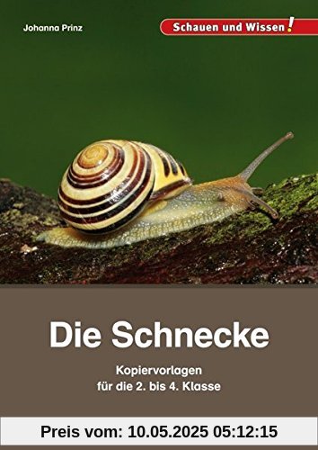 Die Schnecke - Kopiervorlagen für die 2. bis 4. Klasse