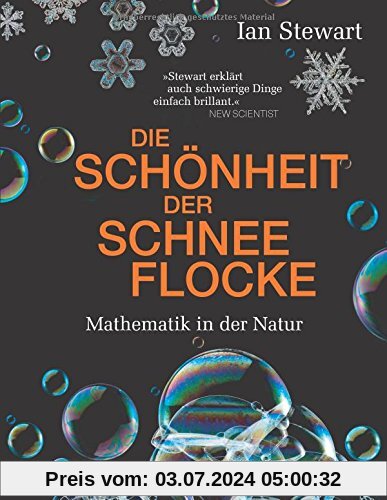 Die Schönheit der Schneeflocke: Mathematik in der Natur