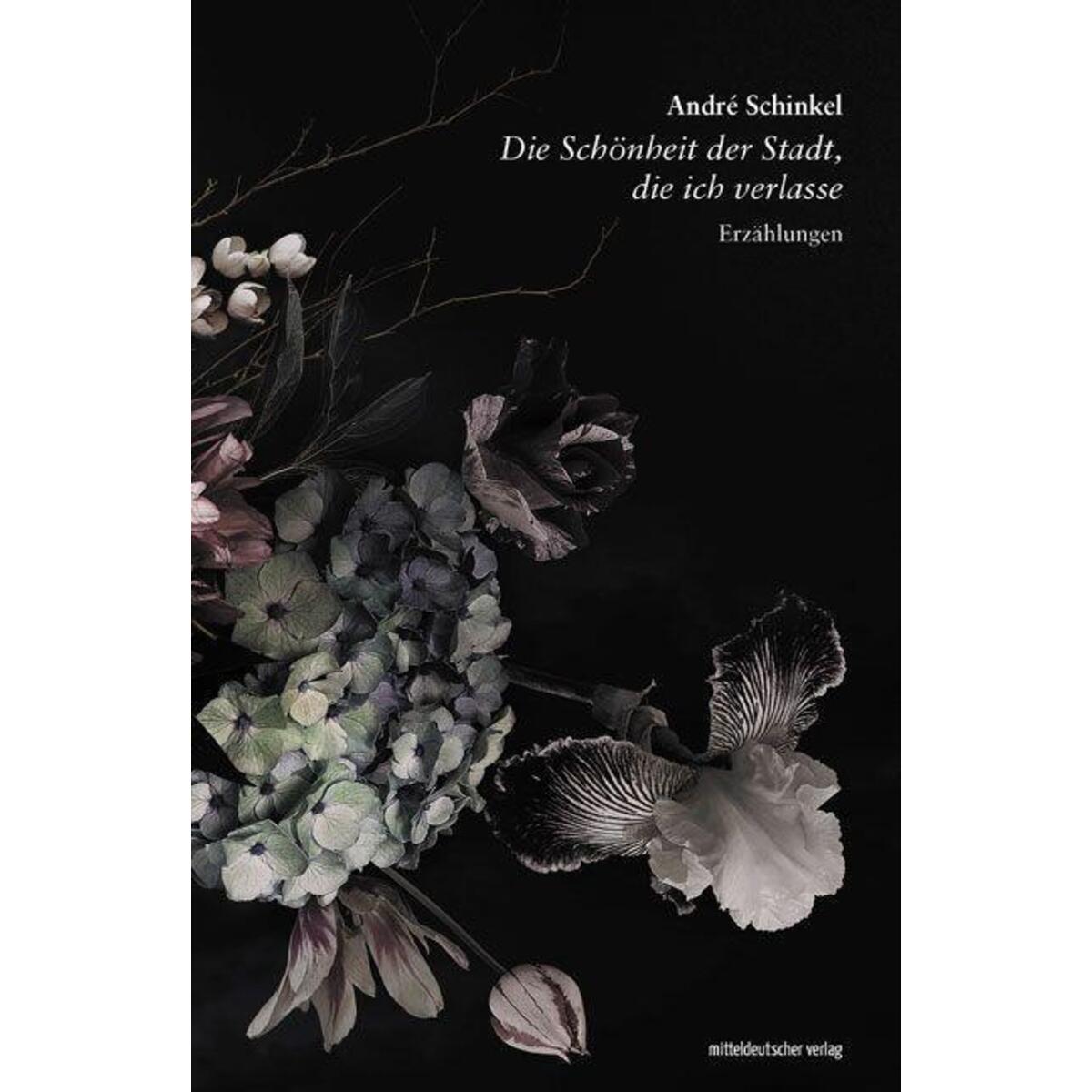 Die Schönheit der Stadt, die ich verlasse von Mitteldeutscher Verlag
