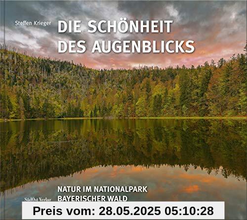 Die Schönheit des Augenblicks: Natur im Nationalpark Bayerischer Wald