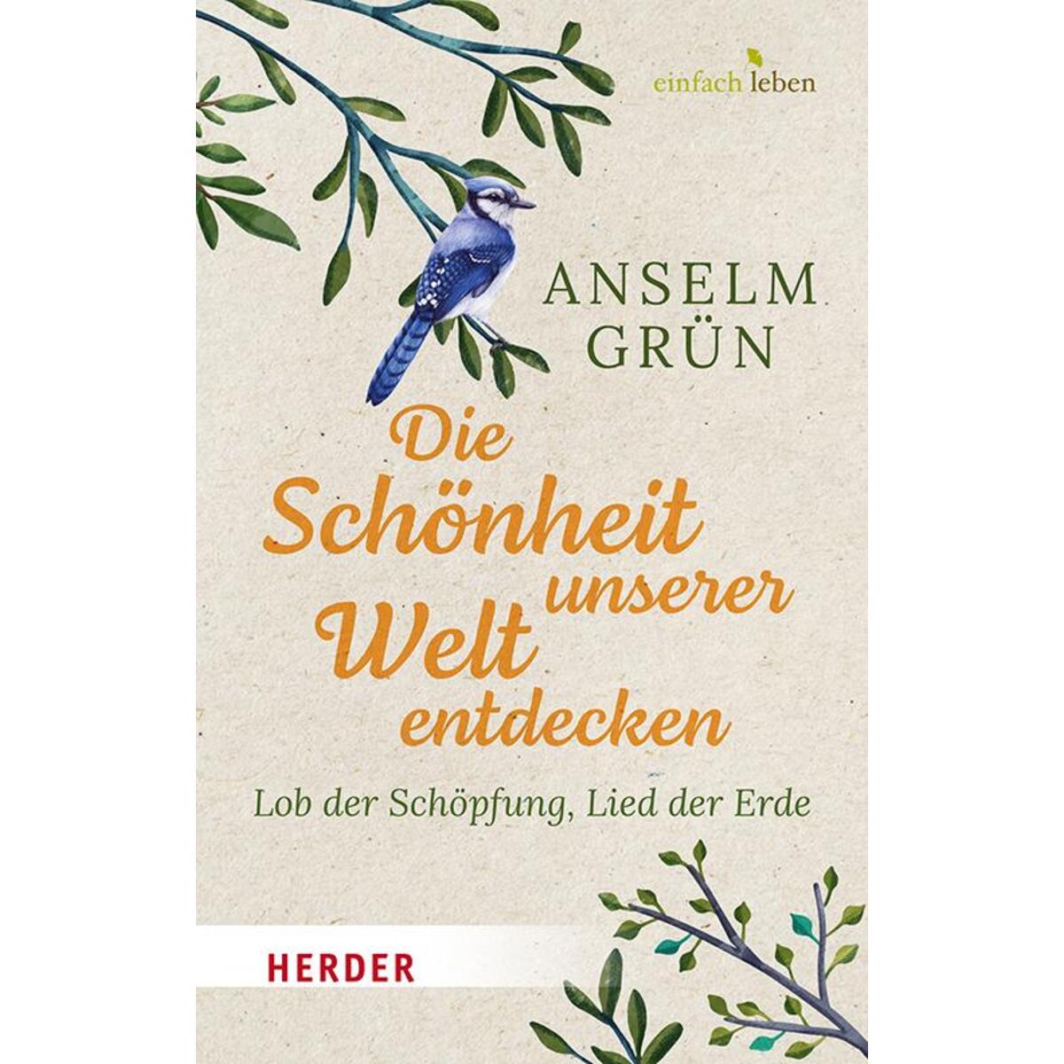 Die Schönheit unserer Welt entdecken von Herder Verlag GmbH